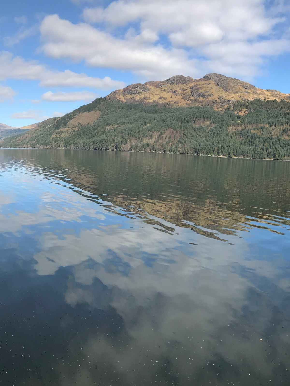 Panoramic view of a calm lake with mountains and clear sky.