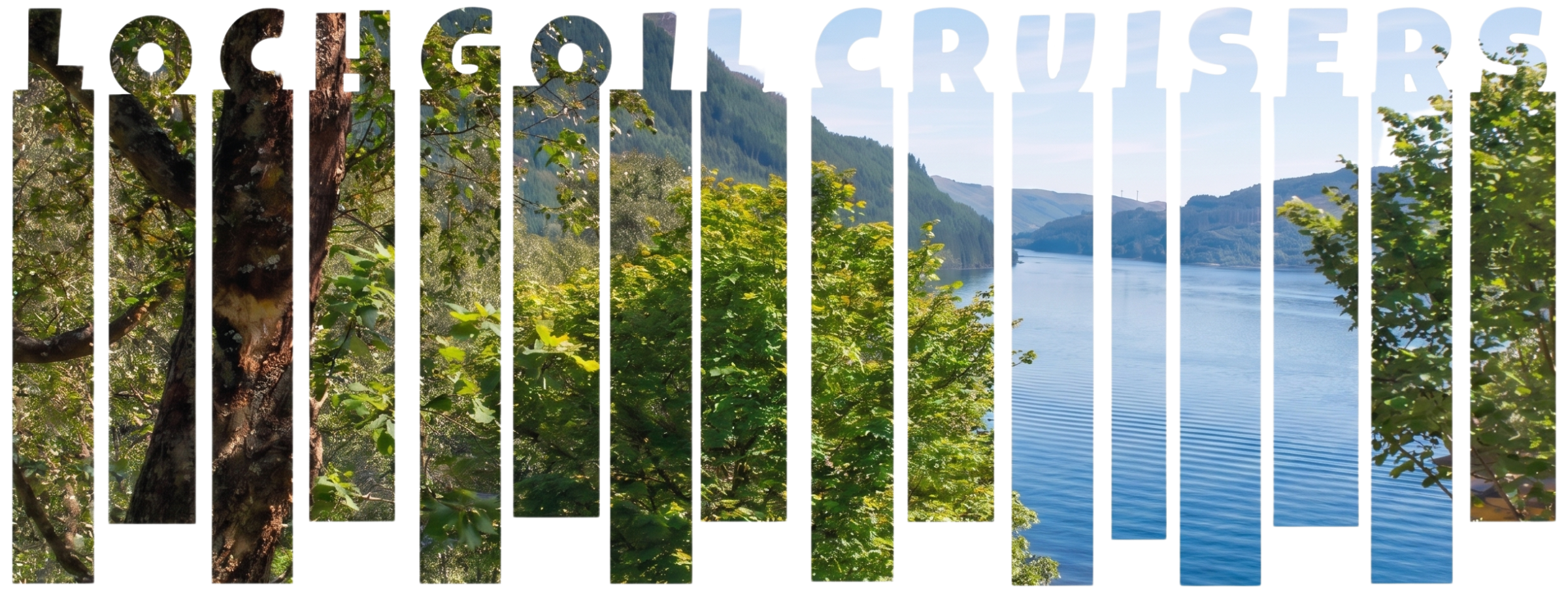 gallery_image