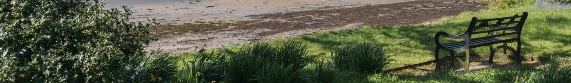 A bench on a grassy area near a calm body of water.
