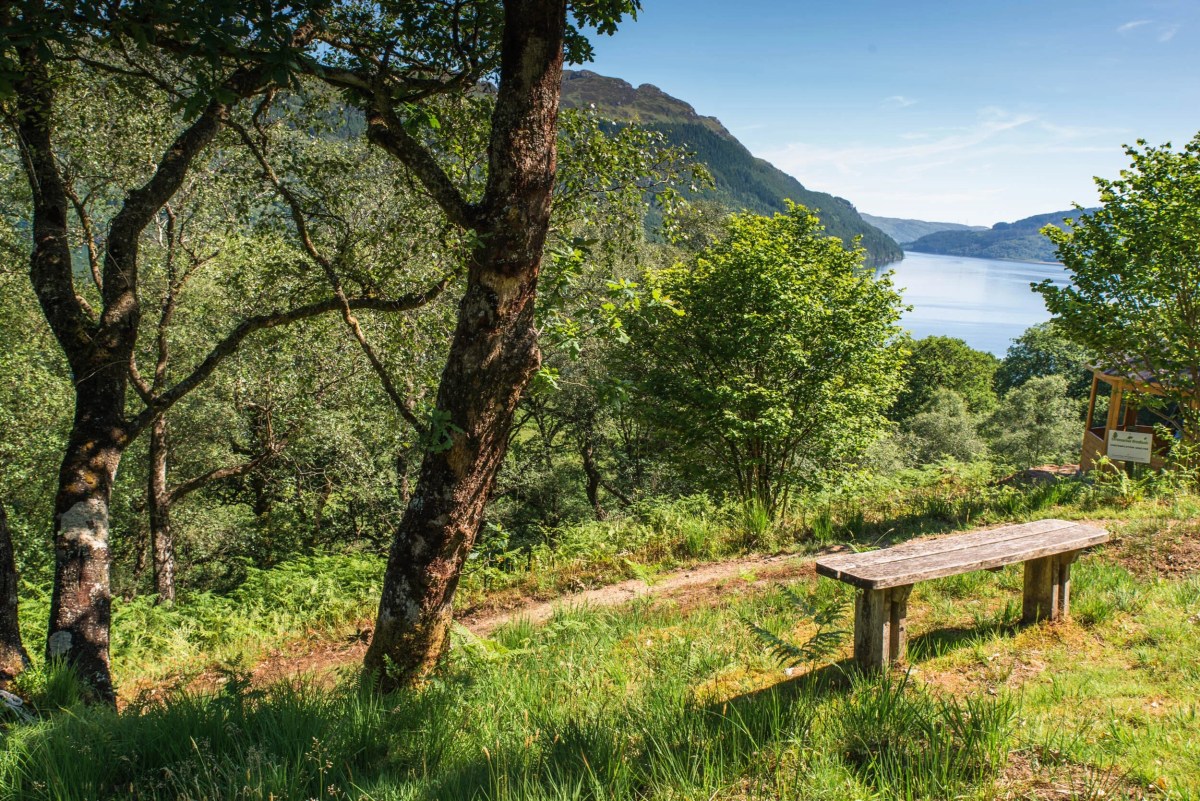 Wooden bench overlooking a scenic lake view with trees and hills.